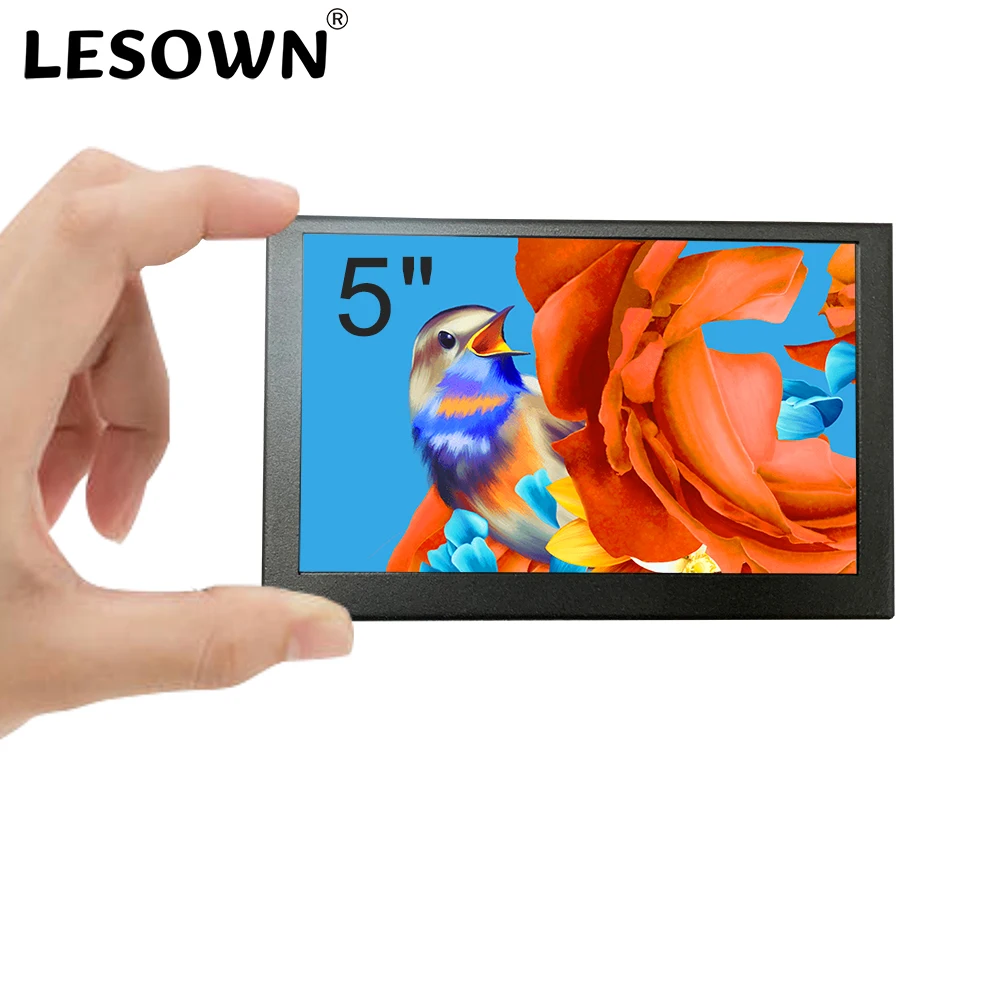 LESOWN 5 Inch Mini Monitor IPS - Retro Gaming Monitor recensie en prijs